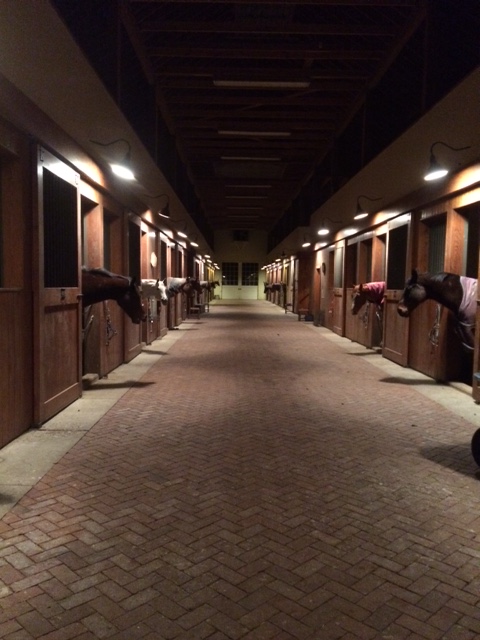 Chapel Springs Barn – Gabby Dickerson Eventing